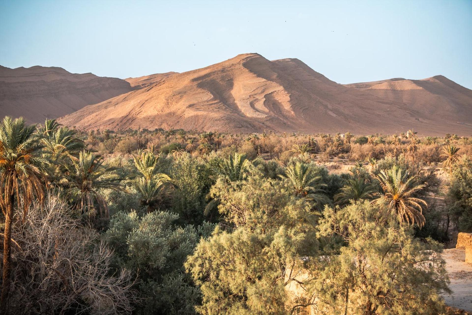 לינה וארוחת בוקר Tazouka Oasis Travel מראה חיצוני תמונה