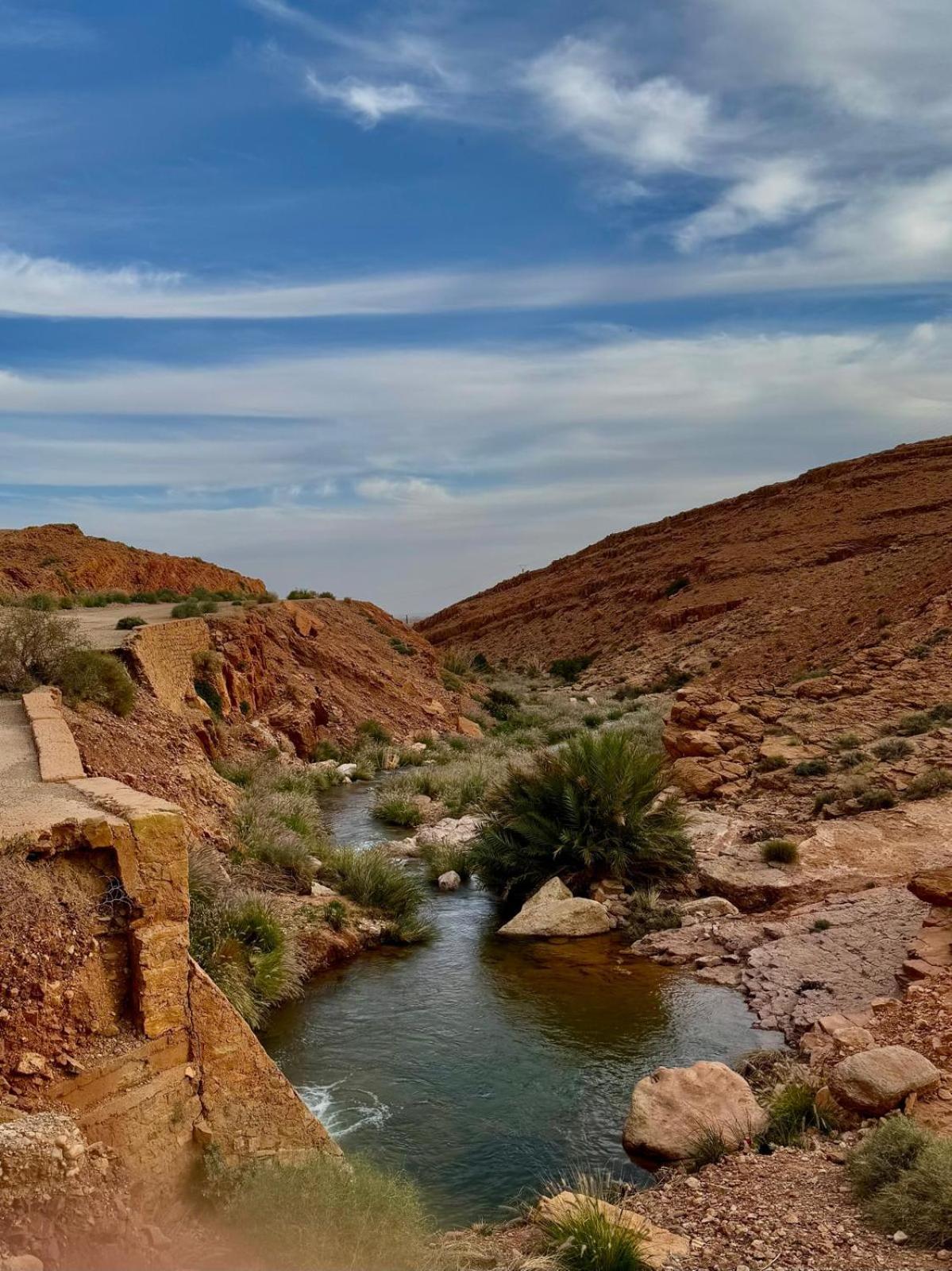 לינה וארוחת בוקר Tazouka Oasis Travel מראה חיצוני תמונה