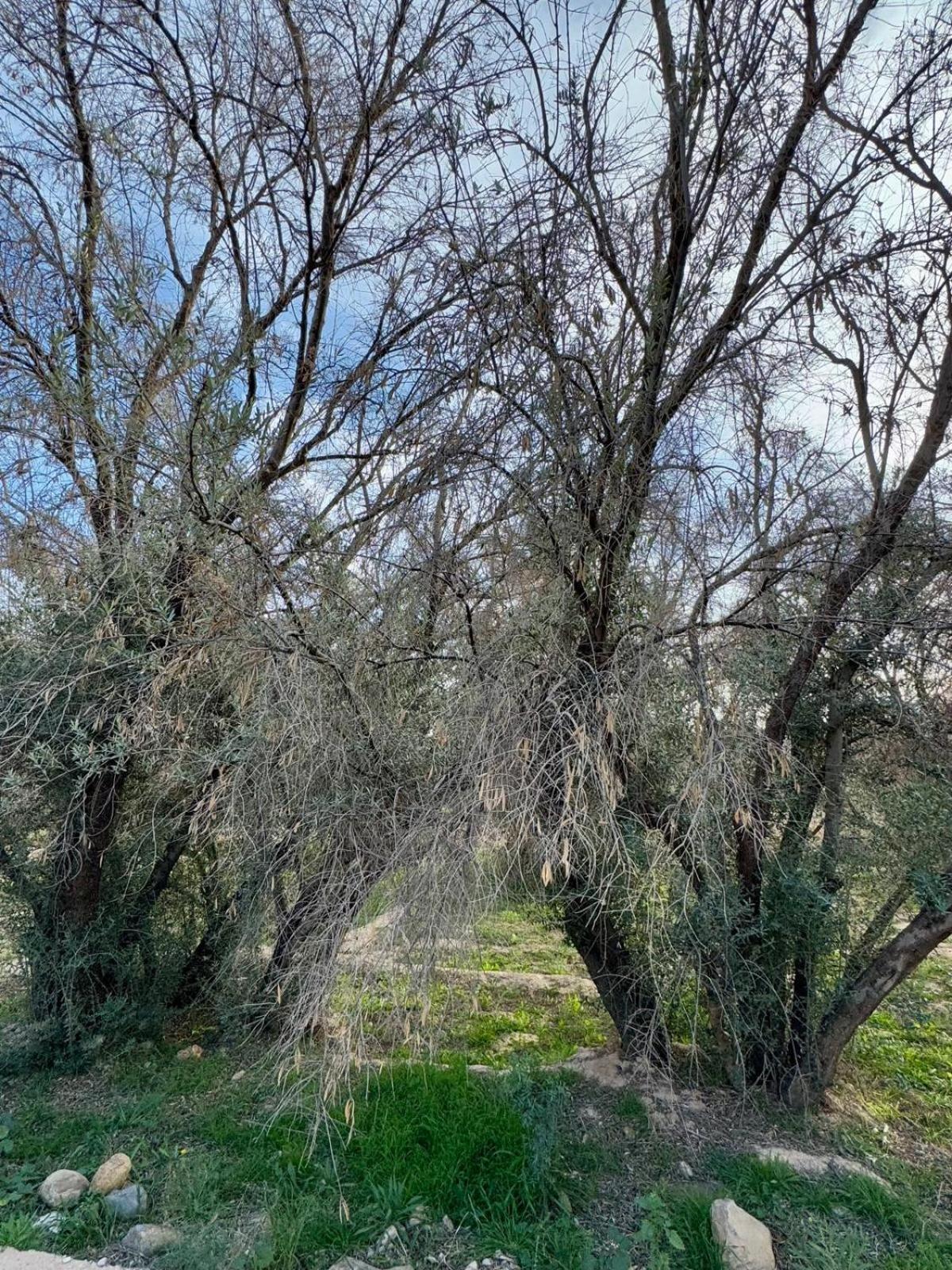 לינה וארוחת בוקר Tazouka Oasis Travel מראה חיצוני תמונה