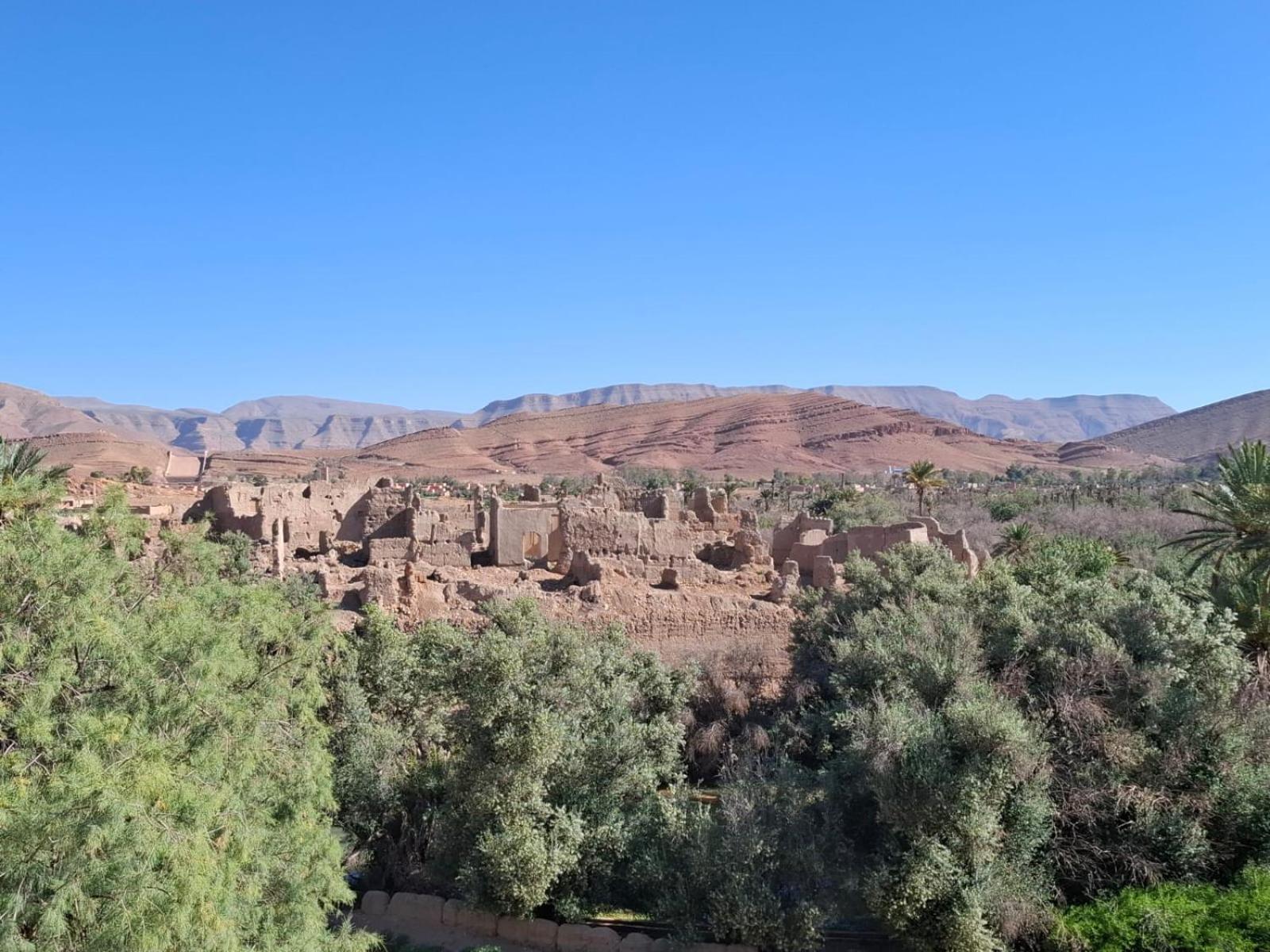 לינה וארוחת בוקר Tazouka Oasis Travel מראה חיצוני תמונה